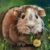 Profile picture of Karen
